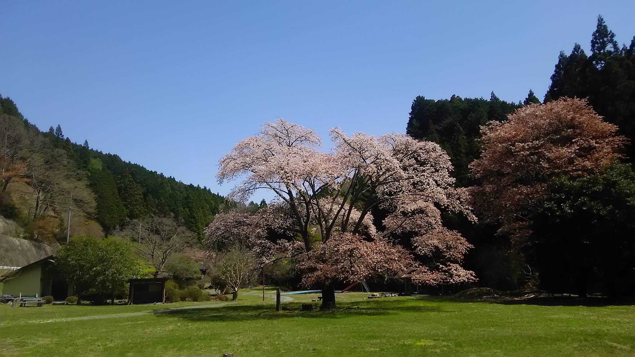 himitsumura-spring